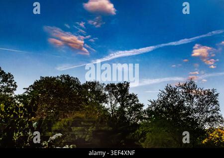 Himmel- und Wolkenbildung über einem Baumdach Stockfoto