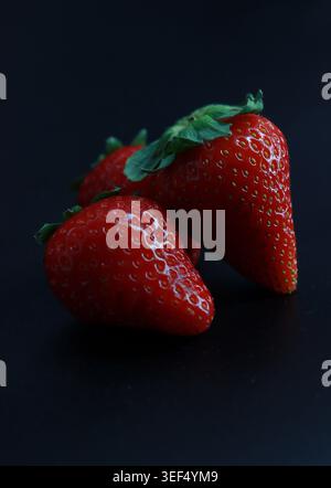 Frische, reife rote Erdbeeren, isoliert auf dunklem schwarzem Hintergrund, Makrofotos in Nahaufnahme mit glänzender Textur und natürlichen Details. Stockfoto
