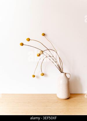 Getrocknete Craspedia-Blüten in einer kleinen weißen Vase auf Holzoberfläche, minimalistisches botanisches Stillleben mit gelben Blüten und Kopierraum. Vorderansicht Stockfoto