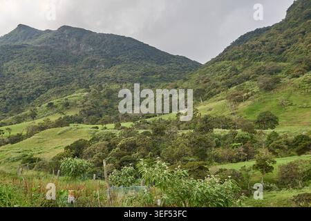 Üppig grüne Berglandschaft mit tropischem Wald, breiter Außenblick unter bedecktem Himmel, mit Kopierraum, Bergtourismuskonzept Stockfoto