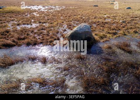 Aus nächster Nähe einen Granitfelsen, umgeben von dünnem, schmelzendem Eis und trockenem braunem Gras in einem Feuchtgebiet an der Küste. Stockfoto