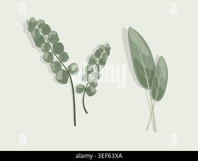 Minimalistischer botanischer Kräuter Vektor-Satz frischer grüner Salbei Blätter und Silber Dollar Eukalyptus Zweige für organische Kosmetik Wellness Branding Asset Stock Vektor