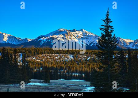 Schneebedeckte Berggipfel und Evergreen Forest in der Winterlandschaft Alberta Stockfoto