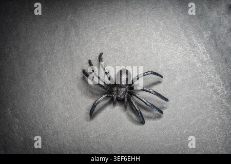 Schwarze Plastikspinne auf schwarzer Figur, Spielzeug, Tapete Stockfoto