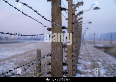 Bei einem Winkelfoto aus der Nähe werden Stacheldrahtstränge mit Winterfrost beleuchtet. Die Reihe von Betonpfosten und historischen Lampen verwischt in der Perspektive der Vergangenheit Stockfoto