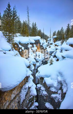 Schneebedeckter Canyon und Pine Forest in der Winter Wilderness Landscape Stockfoto