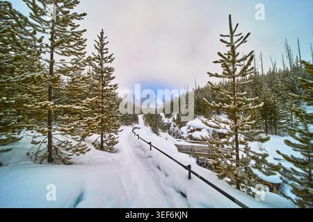 Schneebedeckter Winterpfad mit Kiefernwald und Holzbrücke in der Berglandschaft Stockfoto