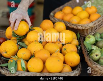 Nahaufnahme der Hände des männlichen Verkäufers, die Orangen auf den Ladentisch legen Stockfoto