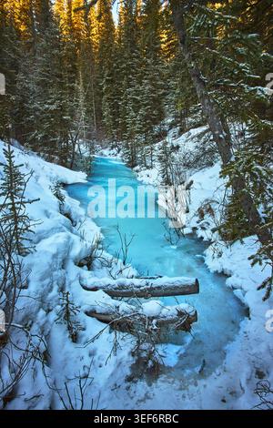 Der Gefrorene Blue River Fließt Durch Den Verschneiten Winterwald Stockfoto