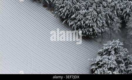Luftaufnahme von schneebedecktem Wald und offenem Feld Stockfoto