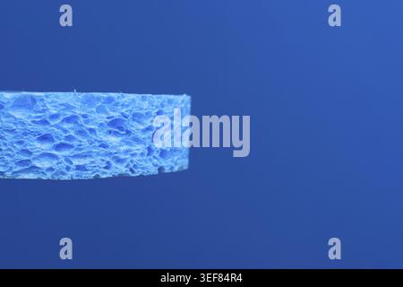 Ein blauer Schwamm vor einem blauen Hintergrund Stockfoto
