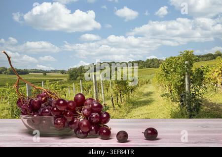 Trauben rosa Stockfoto