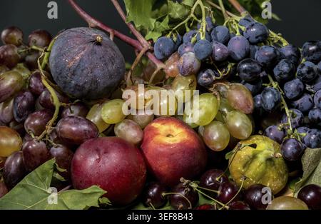 Ein detailliertes Nahaufnahme-Stillleben mit einer Auswahl an frischen Früchten, darunter verschiedene farbige Trauben, reife Pfirsiche, dunkle Feigen und Kirschen, auf einem Stockfoto