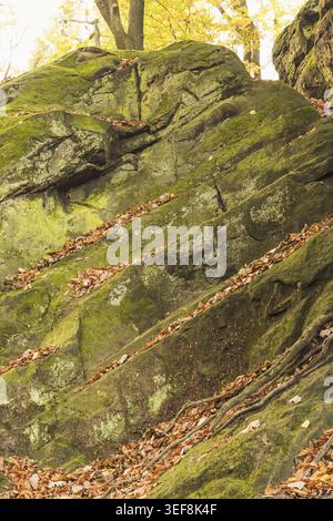 Tecklenburg, Hexenkueche, Felsen, Tecklenburger Land, Nordrhein-Westfalen - Tecklenburg, Hexenküche, Felsen, Tecklenburger Land, Nordrhein-Westpha Stockfoto