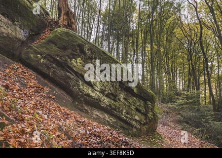 Tecklenburg, Hexenkueche, Felsen, Tecklenburger Land, Nordrhein-Westfalen - Tecklenburg, Hexenküche, Felsen, Tecklenburger Land, Nordrhein-Westpha Stockfoto