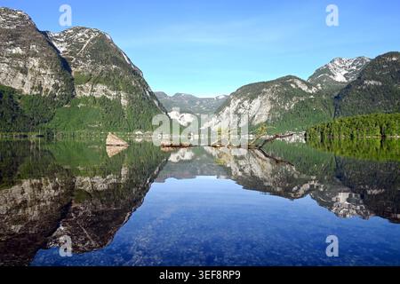 Ruhiger Alpensee am frühen Morgen mit perfekter Bergspiegelung unter klarem blauem Himmel im Frühling von Obertraun, Hallstättersee, Österreich Stockfoto