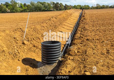 Installation unterirdischer Wasserrohre für Bodenbewässerungssysteme New Spargelfeld, Hollesley, Suffolk Sandlings, England, Vereinigtes Königreich Stockfoto