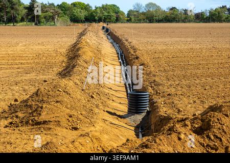 Installation unterirdischer Wasserrohre für Bodenbewässerungssysteme New Spargelfeld, Hollesley, Suffolk Sandlings, England, Vereinigtes Königreich Stockfoto
