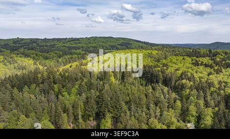 Mischwald in der Schwäbischen Alb im Frühjahr. Luftaufnahme. Gomadingen, Baden-Württemberg, Deutschland Stockfoto