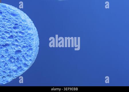 Ein blauer Schwamm vor einem blauen Hintergrund Stockfoto
