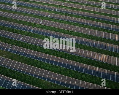 Luftaufnahme von Reihen von Solarpaneelen, die in einem grünen Feld unter sanftem Sonnenlicht installiert sind Augusta, Sizilien, Italien. Stockfoto