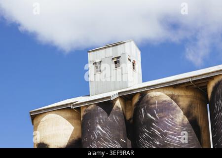 SHEEP HILLS, AUSTRALIEN - 27. SEPTEMBER 2025: GrainCorp Sheep Hills Silo Art Silo Art Wandgemälde auf dem Silo Art Trail an einem sonnigen Frühlingstag in der Wimmera Malle Stockfoto