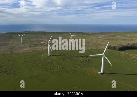 Luftaufnahme eines Windparks mit weißen Turbinen auf grünen Küstenfeldern unter blauem Himmel in Schottland, Vereinigtes Königreich. Stockfoto