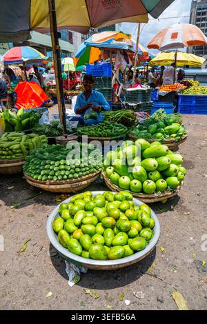 Frisches Gemüse auf einem geschäftigen Markt in Dhaka, Bangladesch, mit farbenfrohen Regenschirmen und Händlern, die mit Kunden interagieren Stockfoto