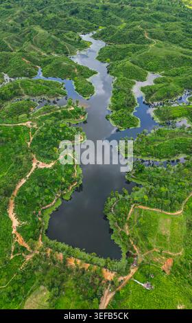 Aus der Vogelperspektive zeigt die Landschaft der Teeregion mit Gewässern und Grün in Sreemangal, Bangladesch während des Tages Stockfoto