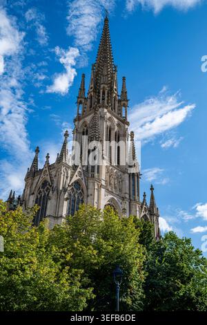Die Basilika Saint-Epvre erhebt sich über Bäumen unter einem klaren blauen Himmel in Nancy, Frankreich Stockfoto