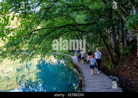 Besucher spazieren auf dem Holzweg durch den Nationalpark Plitvicer Seen, umgeben von grünen Bäumen in Kroatien Stockfoto