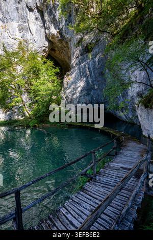 Erkunden Sie die Schönheit des Nationalparks Plitvicer Seen in Kroatien mit üppiger Natur und klarem Wasser in der Nähe eines Höhleneingangs Stockfoto
