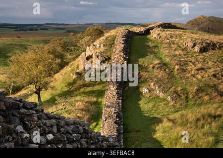 UNESCO-Weltkulturerbe Hadrians Wall mit Blick nach Osten von Walltown, Hadrians Wall, in der Nähe von Greenhead, Northumberland National Park, Northumberland, England, Großbritannien Stockfoto