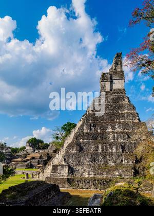 Erkundung des Tempels I in Tikal mit der antiken Architektur und den umliegenden Ruinen in Guatemala Stockfoto
