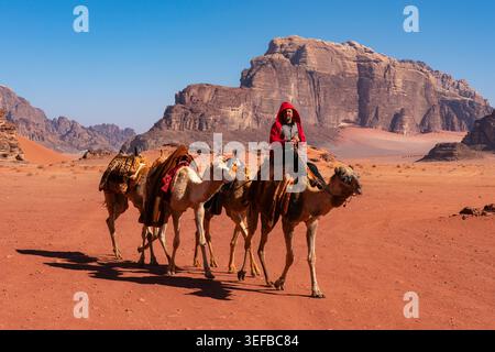 Beduinen mit Kamelen in einer Wüstenlandschaft unter klarem Himmel in Jordanien Stockfoto