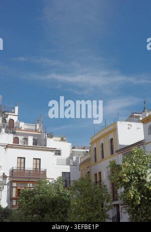 Weiß getünchte und gelbe Gebäude mit schmiedeeisernen Balkonen und Orangenbäumen unter blauem Himmel in der historischen Altstadt von Sevilla, Andalusien, Spanien. Stockfoto