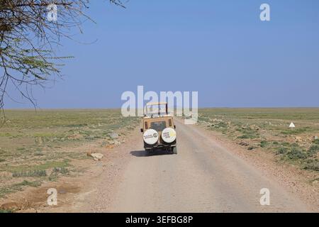 Landschaften und Natur der Serengeti in Tansania, Safari Februar 2026, einschließlich Manyara, Tarangire, Serengeti, Ndutu und Ngorongoro-Schöpfer. Stockfoto