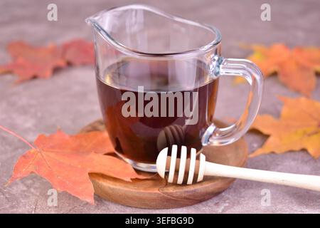 Ahornsirup in einem Glas Soße Boot auf grauem Hintergrund und clon Blätter. Stockfoto