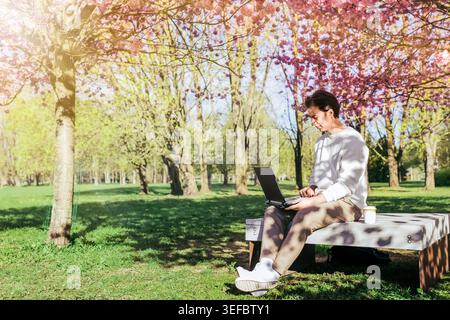 Ein Mann, der auf einer Parkbank sitzt und an seinem Laptop unter blühenden rosa Kirschblüten arbeitet und im Frühjahr Fernarbeit genießt. Hochwertige Fotos Stockfoto