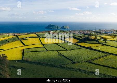 Aus der Vogelperspektive auf die Flickenteppelfelder in der Nähe von Pico Dona Joana, geteilt durch Steinmauern mit Blick auf das Meer und das Küstendorf Feteira, Acores, Portugal. Stockfoto