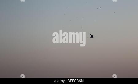 Malerischer Blick auf eine entfernte Bergkette unter einem dramatischen orange-violetten Sonnenuntergangshimmel, der eine wunderschöne minimalistische Landschaft schafft Stockfoto
