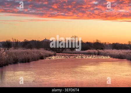 Frozen Morgen bei Sonnenaufgang auf den Somerset Levels mit Glastonbury Tor in der Ferne with​ ein leuchtender orange-rosa Himmel dreht die gefrorene Wassernadel Stockfoto