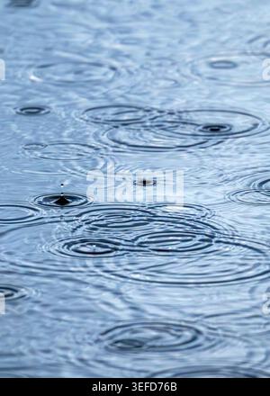 Regentropfen, die überlappende kreisförmige Wellen auf der Wasseroberfläche erzeugen, Ham Wall, Somerset Levels, Großbritannien Stockfoto
