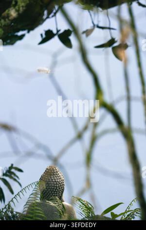 Friedliche tropische Gartenszene mit einer Buddha-Statue, umgeben von üppiger Waldvegetation und reflektierendem Teichwasser, schafft einen ruhigen natürlichen geldautomaten Stockfoto