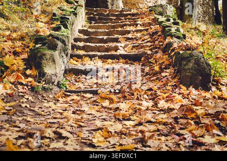 Steintreppen in einem Wald, der mit herabfallenden Herbstblättern bedeckt ist, führen zum alten Schloss Ksiaz (Stary Ksiaz) in Walbrzych, warme Goldtöne, moosige Felsen Stockfoto