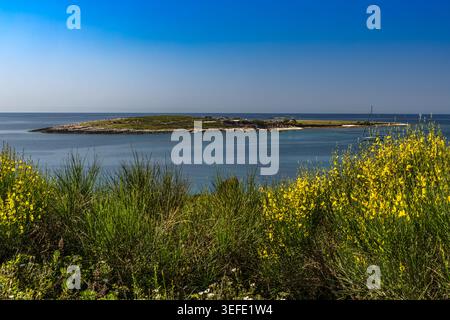 Wunderschönes Küstenpanorama der Insel Levan, Kroatien, umgeben von kristallklarem Adria-Wasser und reicher mediterraner Vegetation. Die felsige Küste Stockfoto