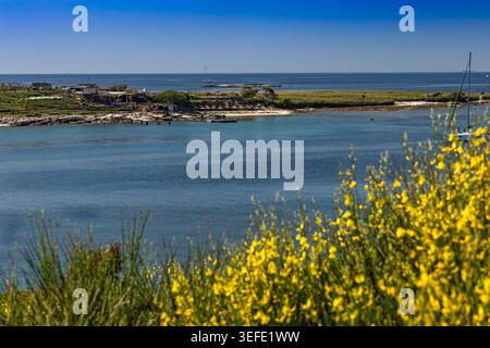 Wunderschönes Küstenpanorama der Insel Levan, Kroatien, umgeben von kristallklarem Adria-Wasser und reicher mediterraner Vegetation. Die felsige Küste Stockfoto