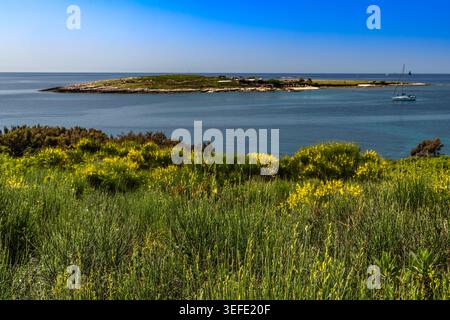 Wunderschönes Küstenpanorama der Insel Levan, Kroatien, umgeben von kristallklarem Adria-Wasser und reicher mediterraner Vegetation. Die felsige Küste Stockfoto