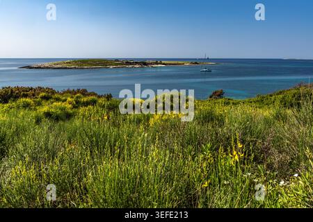 Wunderschönes Küstenpanorama der Insel Levan, Kroatien, umgeben von kristallklarem Adria-Wasser und reicher mediterraner Vegetation. Die felsige Küste Stockfoto