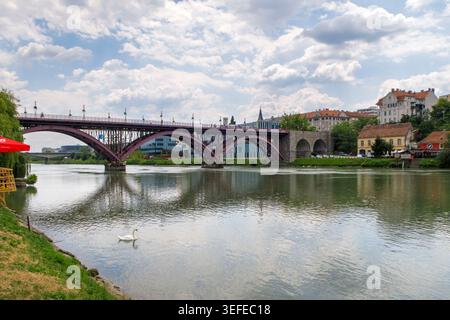 Die historische Alte Brücke über die Drau in Maribor, Slowenien, mit einem Schwan, der im Vordergrund unter einem bewölkten Himmel schwimmt Stockfoto